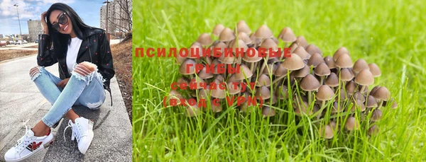 apvp Елизово