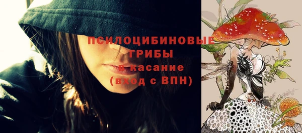 мескалин Ельня